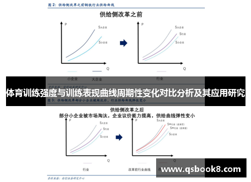 体育训练强度与训练表现曲线周期性变化对比分析及其应用研究